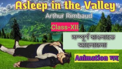 Asleep in the Valley By Arthur Rimbaud Bengali Meaning Class 12