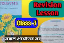 Revision Lesson Solutions English Class 7