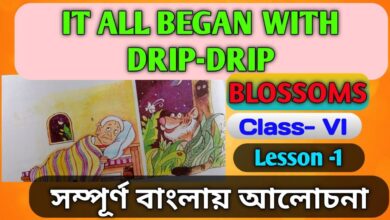 It All Began With Drip Drip Bengali Meaning Class 6 Lesson 1