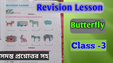 Class 3 Lesson 2 Questions Answers - Study Solves
