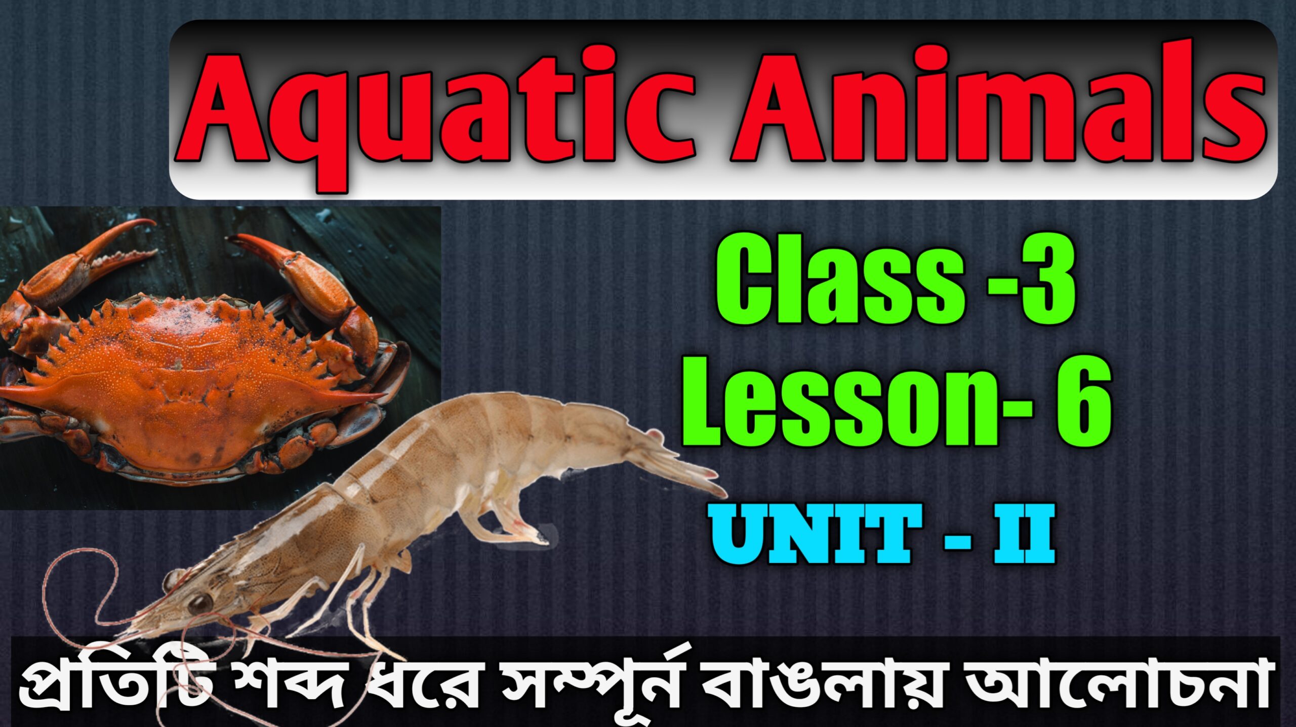 Aquatic Animals Bengali Meaning Class 3 Lesson 6 Unit II - Study Solves