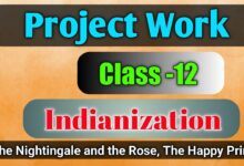 Class 12 English Project Indianization