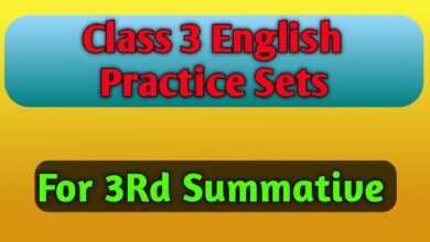 English Practice Set Class 3