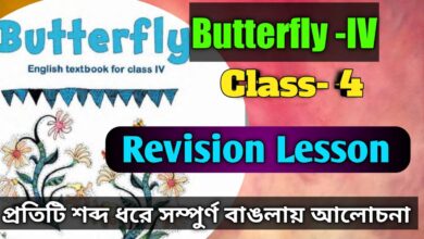 Revision Lesson Class 4||English Butterfly IV