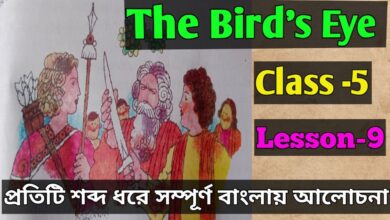 The Bird's Eye Bengali Meaning