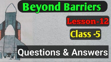 Beyond Barriers Questions Answers