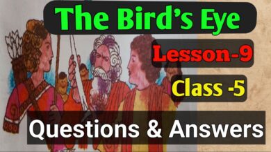 The Bird's Eye Questions Answers